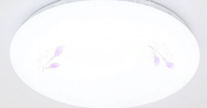 �������ܵ�